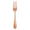 World Tableware 939 038 Santa Cruz Copper 7-1/8" Salad Fork - Dozen